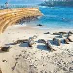 La Jolla Breeze - Ocean Views Condo!