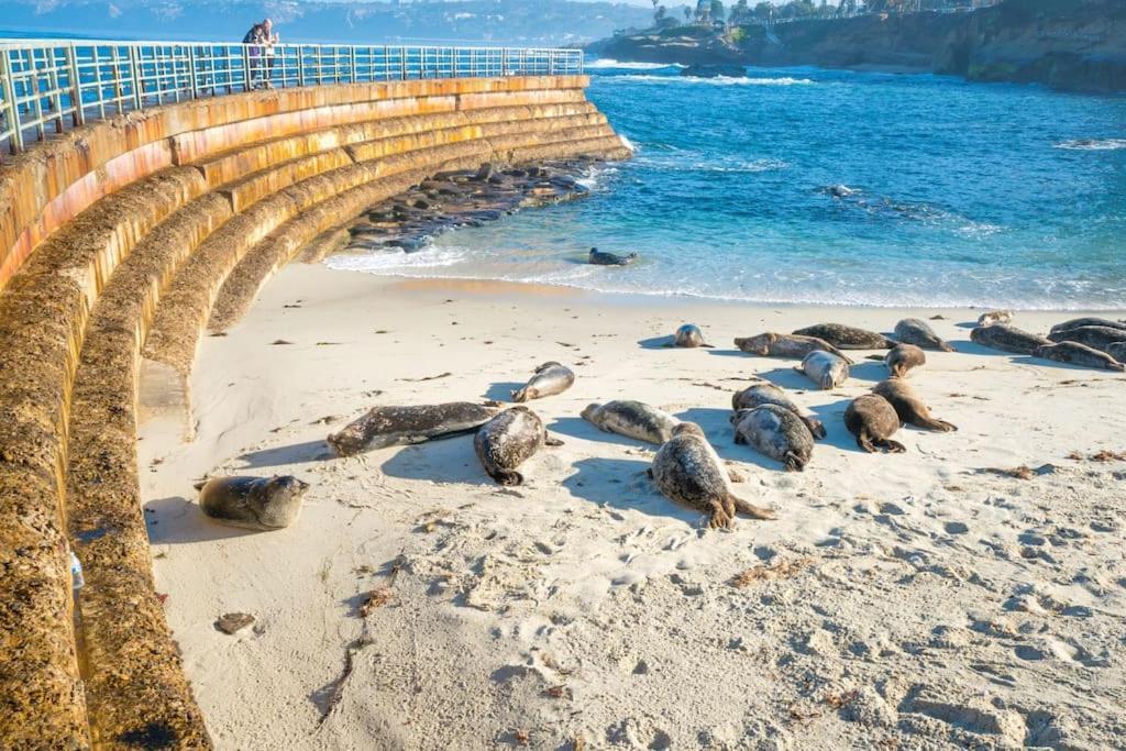 La Jolla Breeze - Ocean Views Condo! Apartamento *